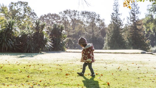 Child walking on the lawn in Autumn at The Argory, County Armagh